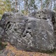 La Mignonette (Yellow #3) thumbnail