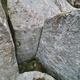 Røykfis thumbnail