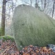 Mosesvaet thumbnail