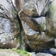 San Miquel thumbnail