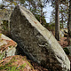 Captionem Cervidae thumbnail