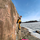 Olli Kauppi