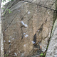 Eldorado thumbnail