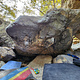 Great wing thumbnail