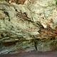 Gaeng Tai Pla thumbnail