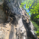 Four:Twenty thumbnail