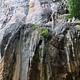Ling Rong Hei (Monkey Crying) thumbnail