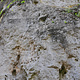 Balkán thumbnail