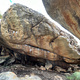 Joderios traverse left thumbnail